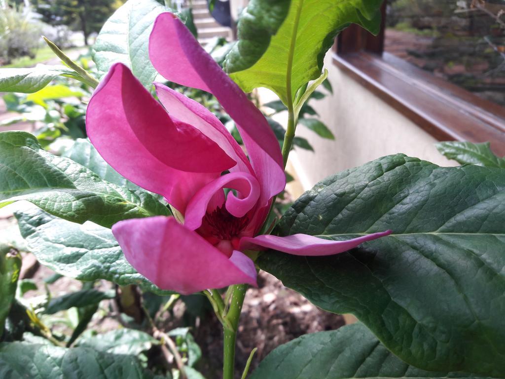 Pousada Cafe Mel Urubici Dış mekan fotoğraf